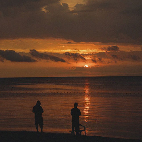 Tala Viento Nocturno